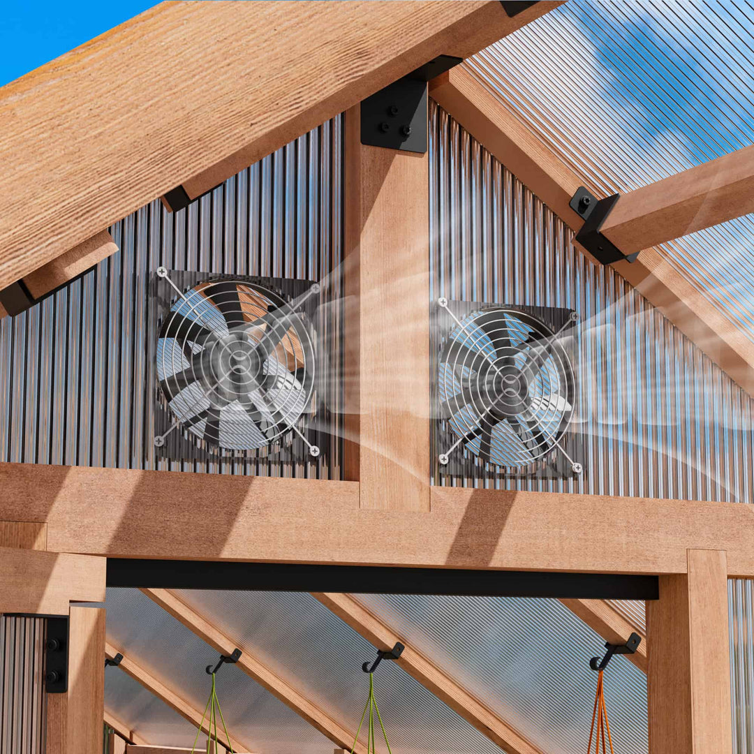 How to Increase Humidity in a Greenhouse: The Complete Guide for New Growers